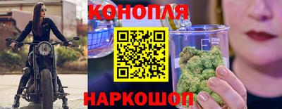 амф Камышлов