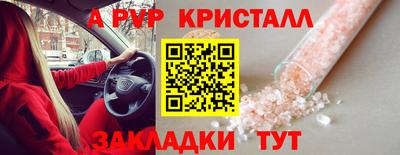 амф Камышлов