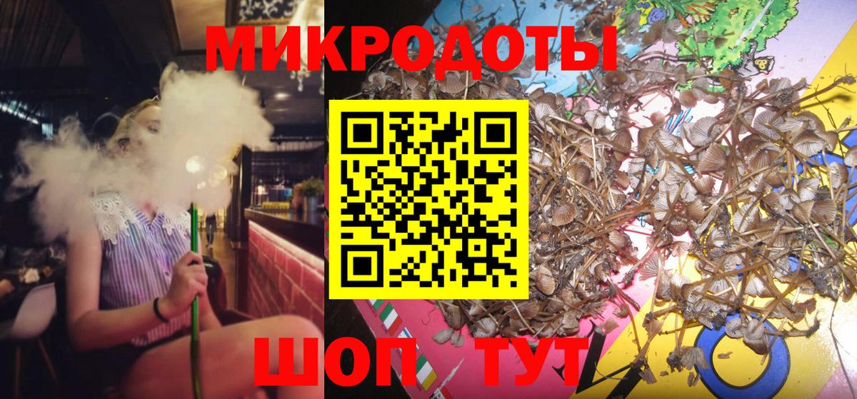 Галлюциногенные грибы Psilocybine cubensis  Вход с VPN  закладка  Галлюциногенные грибы Psilocybe  Якутск 