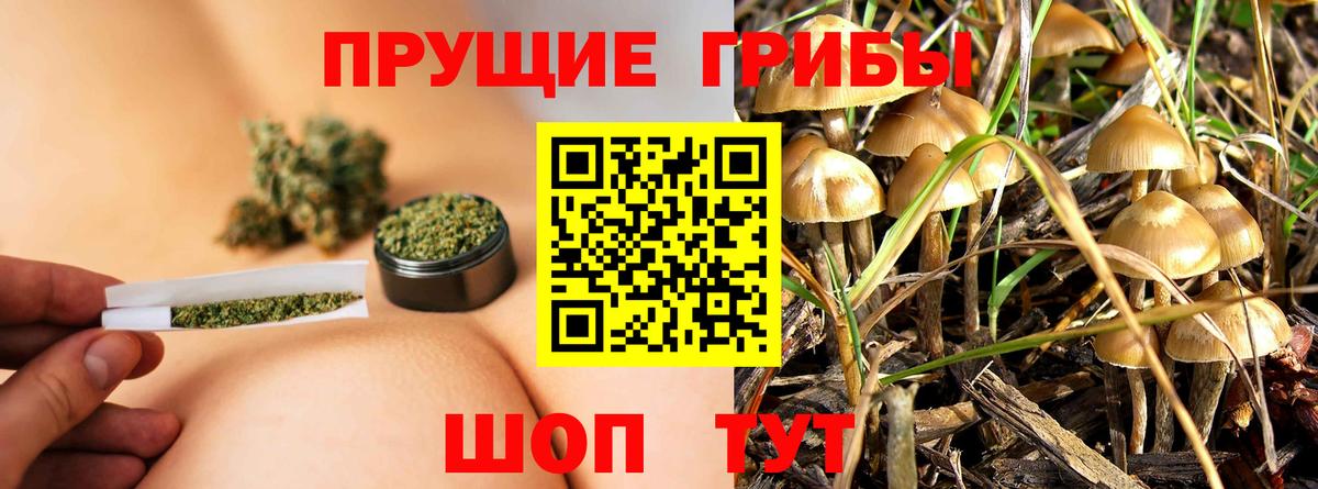 Псилоцибиновые грибы Cubensis Якутск